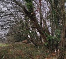 Talus s&eacute;paratif au nord, appartient au voisin