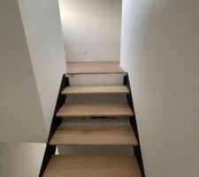 Escalier métallique avec marches bois