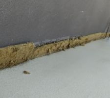 Laine de roche au niveau de la mitoyennet&eacute; ; nous sommes en zone sismique 3.