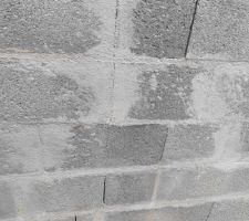 Fissure croisement mur de refend