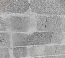 Fissure croisement terrasse