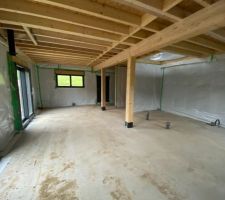 Vue du séjour avec la cuisine au fond