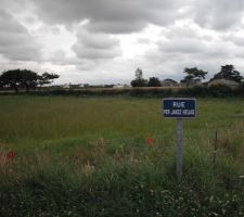 Photos de notre terrain