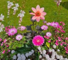 Un des 2 bacs de fleurs pour marquer l'allée du garage