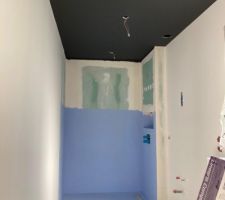 Dans la foulée début des peintures des 800m2 de murs de la maison (les 200m2 de mur du garage sont pour nous ;-) Nous avons choisis des couleurs chez FARROW & BALL.
Petit test sur une chute de placo! on adoooorre ! Les gars étaient entre 3 et 4 personnes 6/7 jours pendant presque 1 mois....