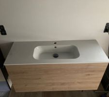 J'ai installé les meubles suspendu Delpha et Sanijura. j'ai rajouter des tasseaux car j'avais zapper d'installer une plaque en bois derrière le placo afin d'assurer une bonne fixation !