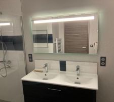 J'ai installé les meubles suspendu Delpha et Sanijura. j'ai rajouter des tasseaux car j'avais zapper d'installer une plaque en bois derrière le placo afin d'assurer une bonne fixation !