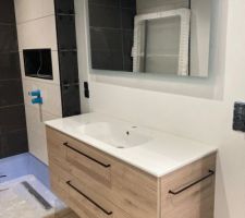 J'ai installé les meubles suspendu Delpha et Sanijura. j'ai rajouter des tasseaux car j'avais zapper d'installer une plaque en bois derrière le placo afin d'assurer une bonne fixation !