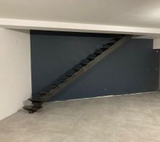 C'est un amis qui nous a fait l'escalier à limon centrale ainsi que les gardes corps de la maison. en mode Egyptien pour installer le limon centrale de 180 kgs...
et surtout sans toucher/abimer le mur peint !