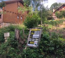 Dernieres photos avant le lancement du terrassement, tous les devis sont validés, ne reste maintenant que l'énergie pour lancer ce formidable projet d'envergure mais tellement beau... début du terrassement fin aout...