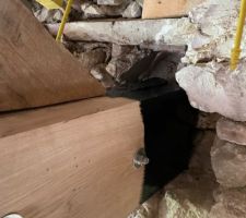 R&eacute;paration charpente en cours