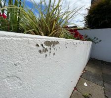Etat de la peinture un an après?