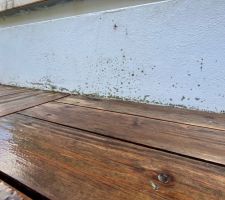 Etat de la peinture un an après