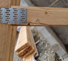S31: réception charpente, trop content...
Mais petite question;
- la charpente devrait être posée au mois de septembre alors que nous l'avons reçu cette semaine.
Y a t-il des risques de détérioration du bois dû à la pluie ou au soleil si la charpente reste à l'extérieur pendant un certain temps?
Merci pour vos réponses ?