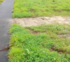 La fibre est arrivée sur le terrain