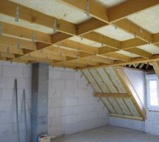 En regardant de pres on voit le tracer de la limitte de la deuxiemme couche d'isolant