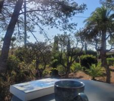 Petit d&eacute;jeuner de fin d &eacute;t&eacute;