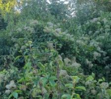 Terrain le 7 septembre 2023 - 8