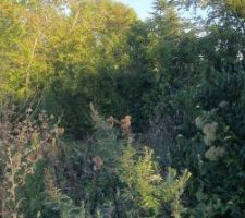 Terrain le 7 septembre 2023 - 9