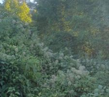 Terrain le 7 septembre 2023 - 11