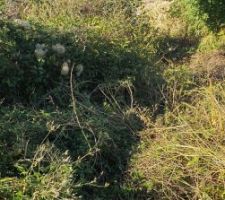 Terrain le 7 septembre 2023 - 4