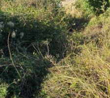 Terrain le 7 septembre 2023 - 1