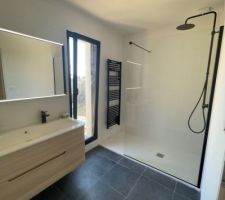 Pose paroi douche Rdc