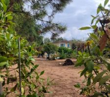 Ballade : notre 1ere construction, retour vers le passé