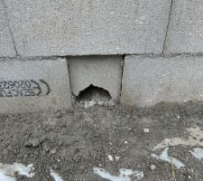 Petit trou en bas du vide sanitaire pour remettre les AC coup&eacute; en place !!
avec un peu de ciment et le tour est jou&eacute; !!