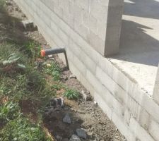 Élévation des murs