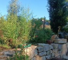 Terrasse Ouest et fontaine à étages