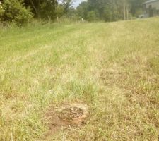 Le chemin d'acc&egrave;s. Devant au sol, une canalisation qui &eacute;tait cens&eacute; m'amener l'eau mais que je n'ai plus le droit d'utiliser selon le syndicat des eaux....