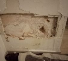 Cloison avec remontée par capillarité