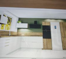 Choix cuisiniste Schmidt 1