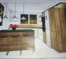 Choix cuisiniste Schmidt 3