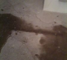 L infiltration d eau dans la salle de bain par le chien assis ( ca ne pouvais pas etre un arrivé d eau le compteur n ete meme pas encore installer)