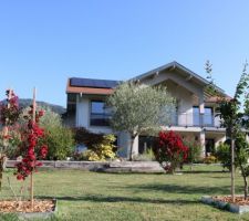 2 lagerstroemias rouges, et à droite le Parrotia de Perse planté l'automne dernier