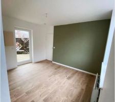 Salon avec son mur vert et son accès terrasse