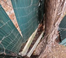 Mauvais état clôture haut jardin