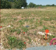 Le terrain du c&ocirc;t&eacute; droit