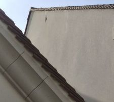 Morceau d'enduit qui est tombé et plusieurs fissure sur le ravalement.
je ne suis pas le seul dans le lotissement.
