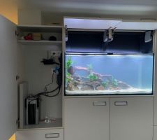 Aquarium et équipements installés