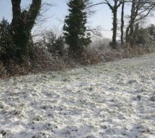 Janvier 2010 sous la neige