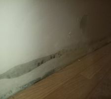 Placo moisi en bas cause non trouvé par ecc... Et ne cherche pas