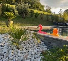 Massif méditéranéen et ambiance piscine