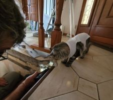 Retrait de la rambarde qui ne tient pratiquement plus