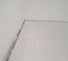 Joint réalisé par un carreleur professionnel ( haut de douche... et si de si l'eau rentre ?...)
