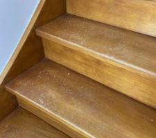 Il est indispensable pour des travaux de r&eacute;novation de prot&eacute;ger les sols, surtout quand les travaux sont &agrave; l'&eacute;tage afin d'&eacute;viter certains risques comme des rayures sur l'escalier en bois....