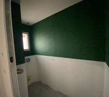Wc entrée , première couche de peinture