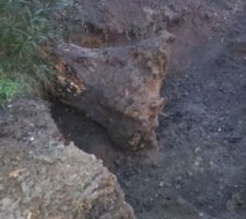 D&eacute;but du terrassement